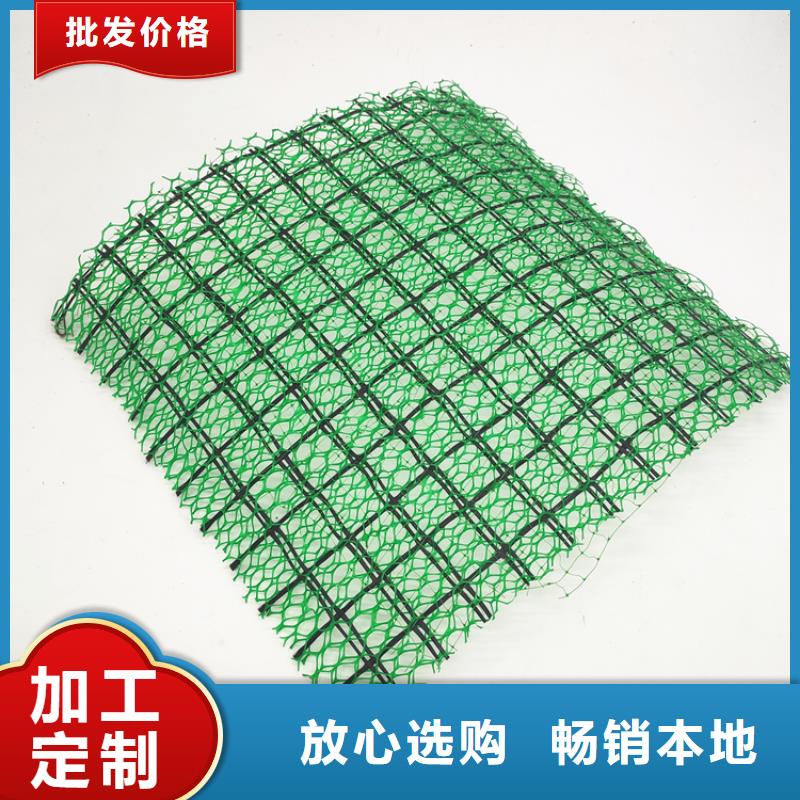 三维植被网复合土工膜用心做好每一件产品高标准高品质