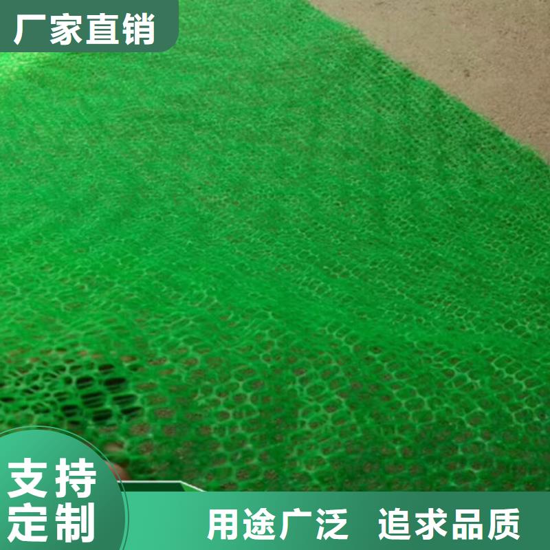 三维植被网玻璃纤维土工格栅加工定制出厂严格质检