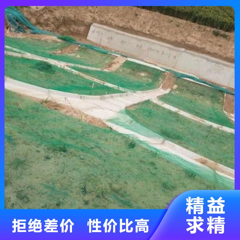 三维植被网涤纶土工格栅甄选好物严选用料