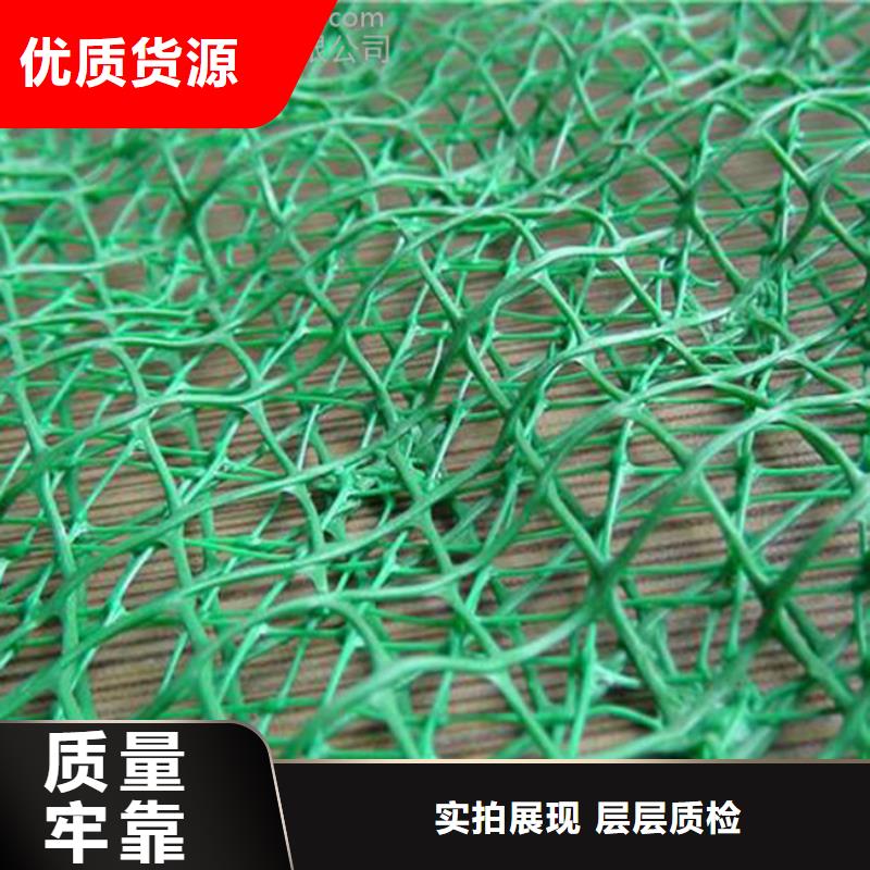 【三维植被网】防水土工布厂家源头厂家量少也做