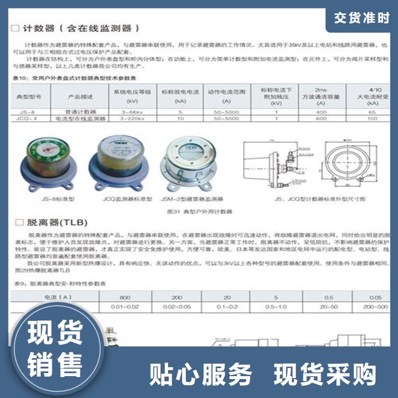 计数器氧化锌避雷器销售厂家直销附近货源