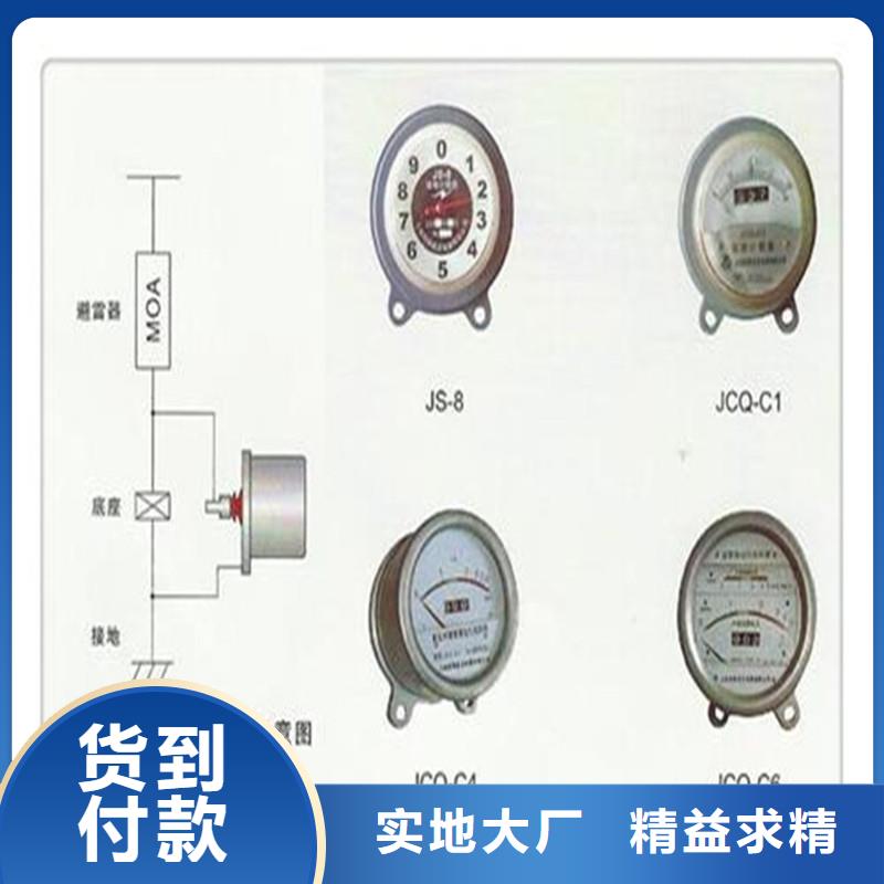 JSY-8S避雷器放电计数器现货实拍