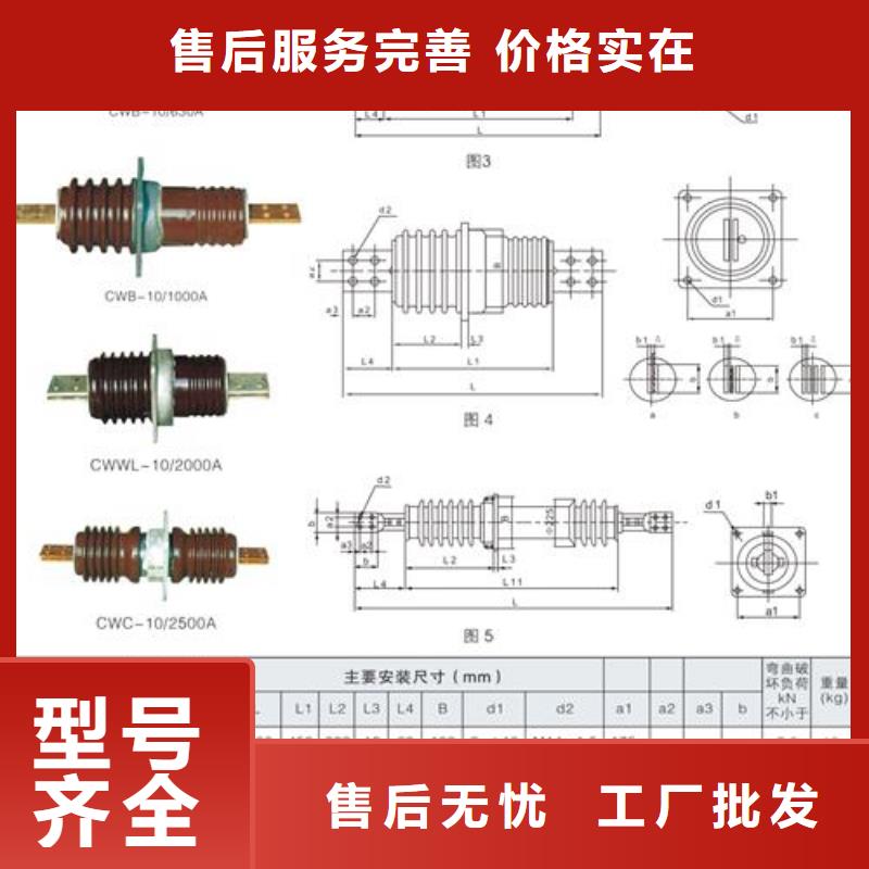 【穿墙套管氧化锌避雷器厂多行业适用】本地品牌