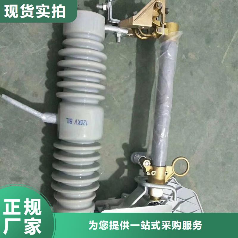 熔断器真空断路器工厂直供种类多质量好