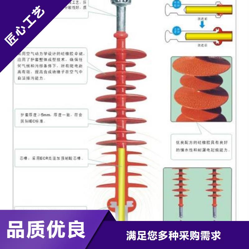 绝缘子_穿墙套管真材实料加工定制本地品牌