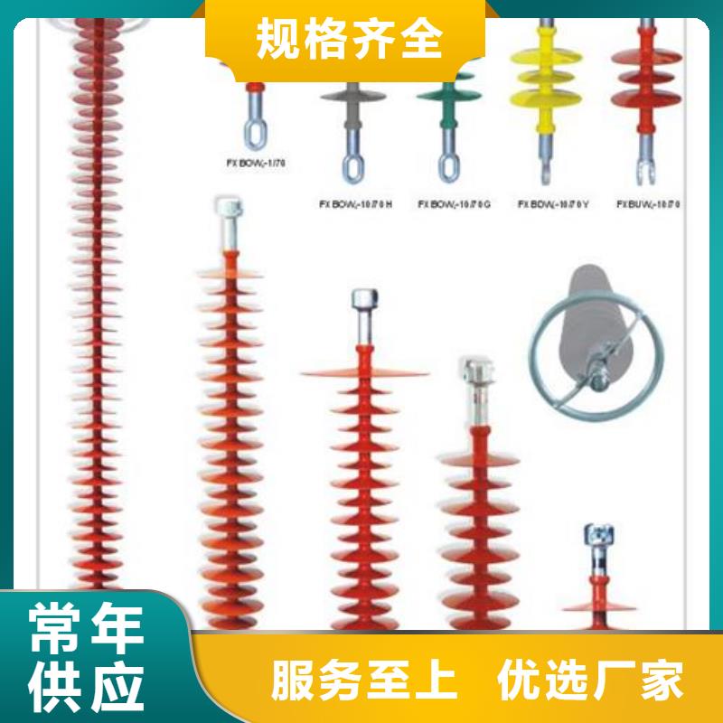 绝缘子真空断路器无中间商厂家直销当地生产商