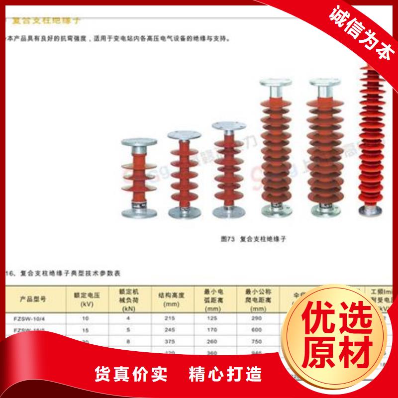 绝缘子_真空断路器一站式服务厂家型号齐全