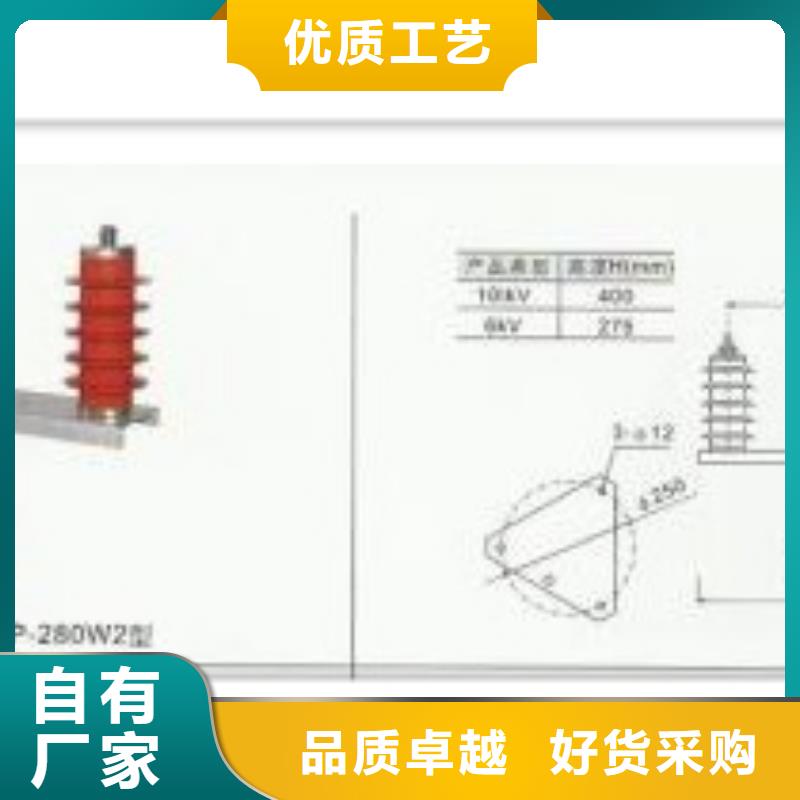 【过电压保护器绝缘子好产品不怕比】实力商家推荐