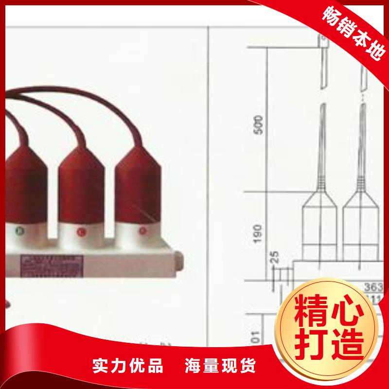 过电压保护器,【高低压电器生产厂家】放心选购量少也做