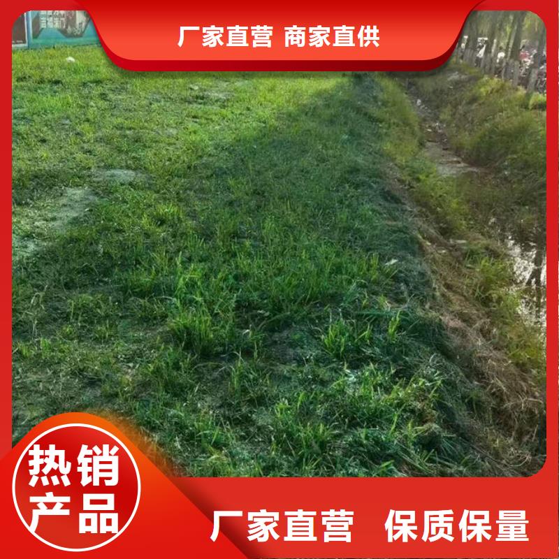 生物酶抑尘剂优质原料本地生产商