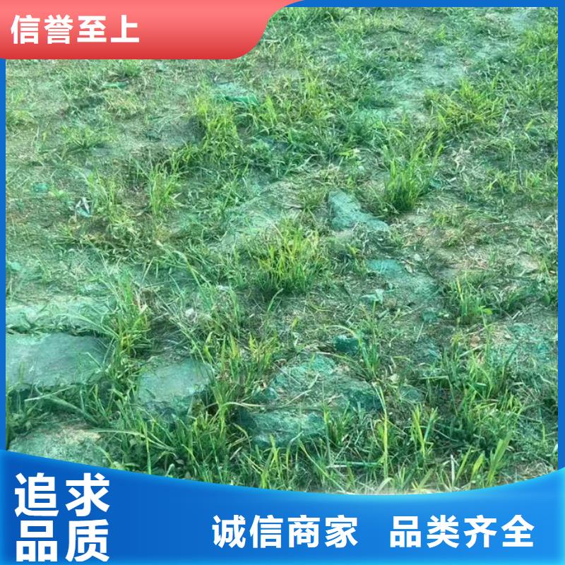 绿色结壳抑尘剂量大从优源头工厂量大优惠