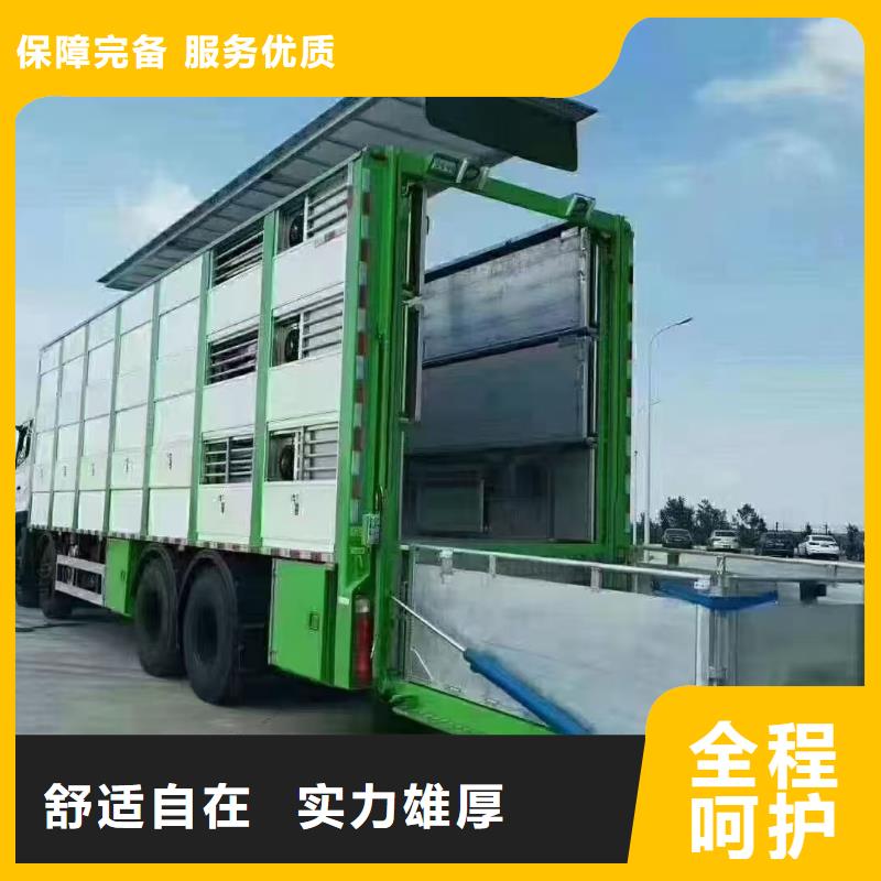 宿迁市泗洪到开封猪牛羊运输细致入微