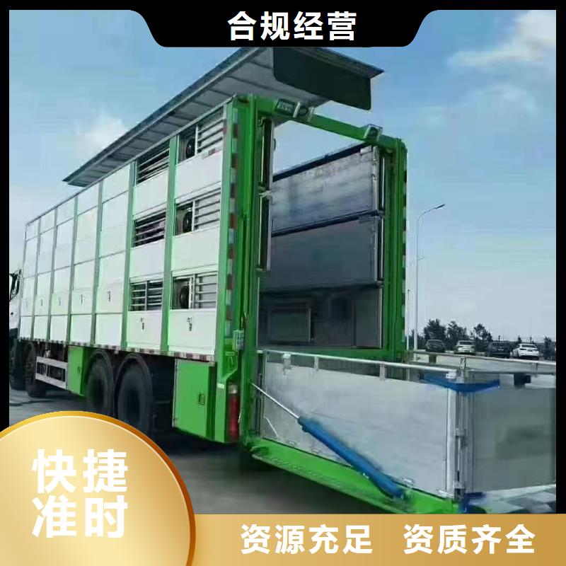 宿迁到濮阳猪只贸易运力强大