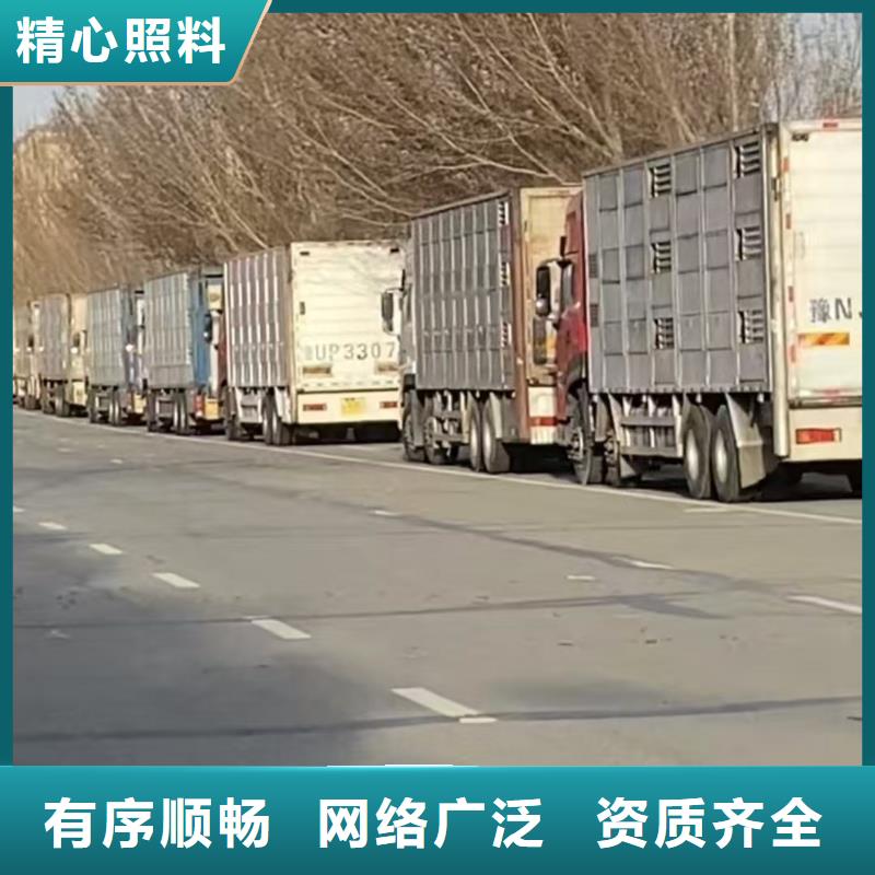 宿迁市泗洪到开封种猪恒温车运输整车