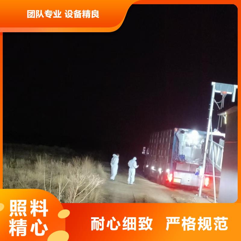 宿迁市沭阳到山东羊运输人才济济