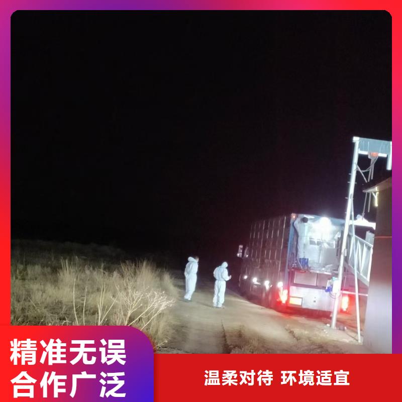 濮阳到厦门种猪恒温车运输周到细致