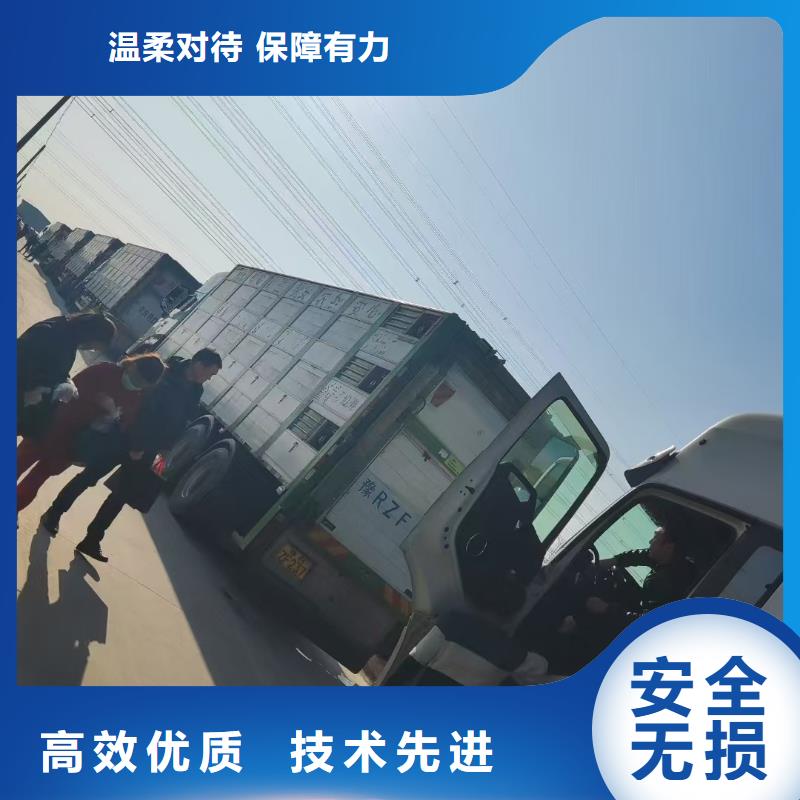 宿迁市泗阳到濮阳恒温车运输整车