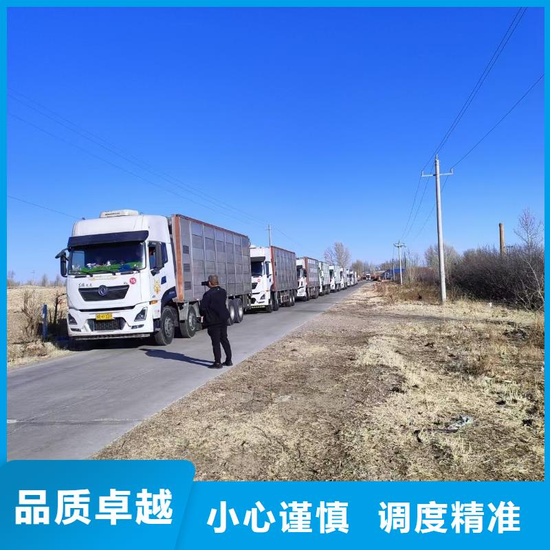 宿迁市到许昌猪笼车物流专业专注