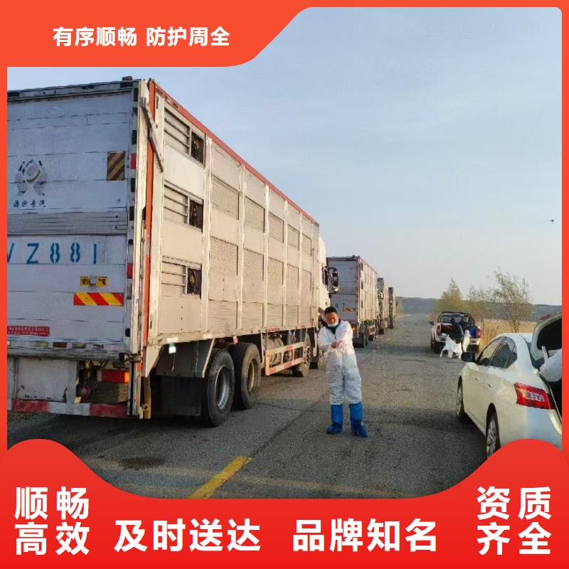 宿迁到新县种猪空调车运输部分地区当天达