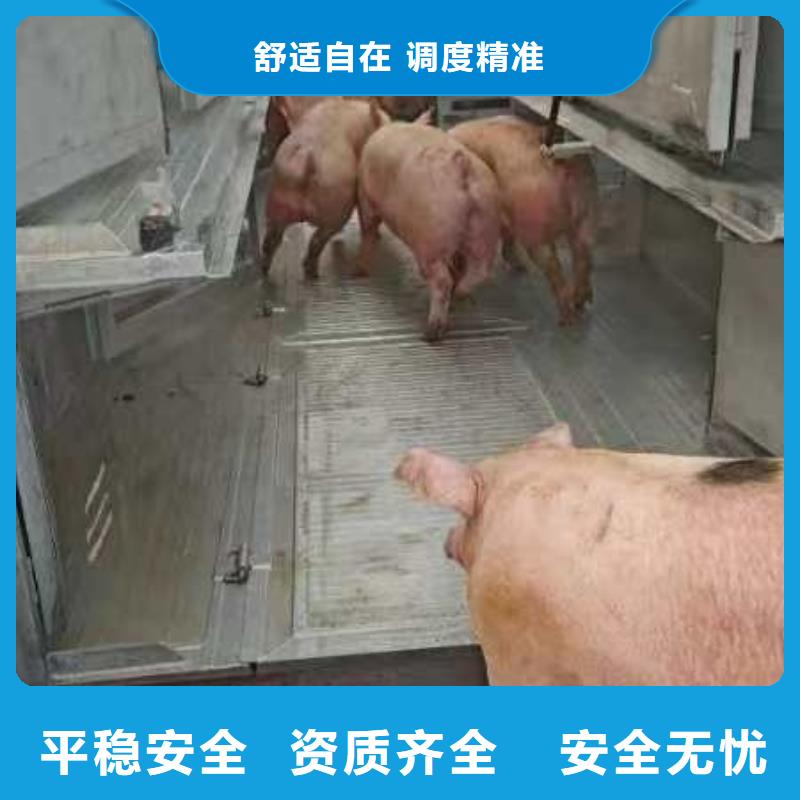 宿迁市泗阳到黄山农牧运输调度精准