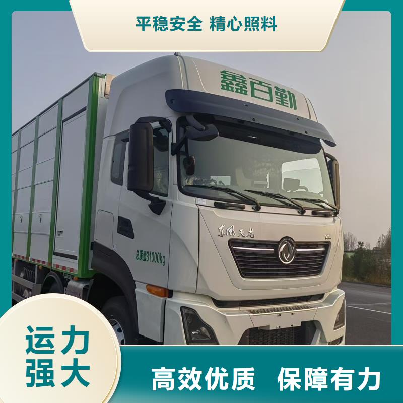 临沂到钦州活禽运输经验丰富