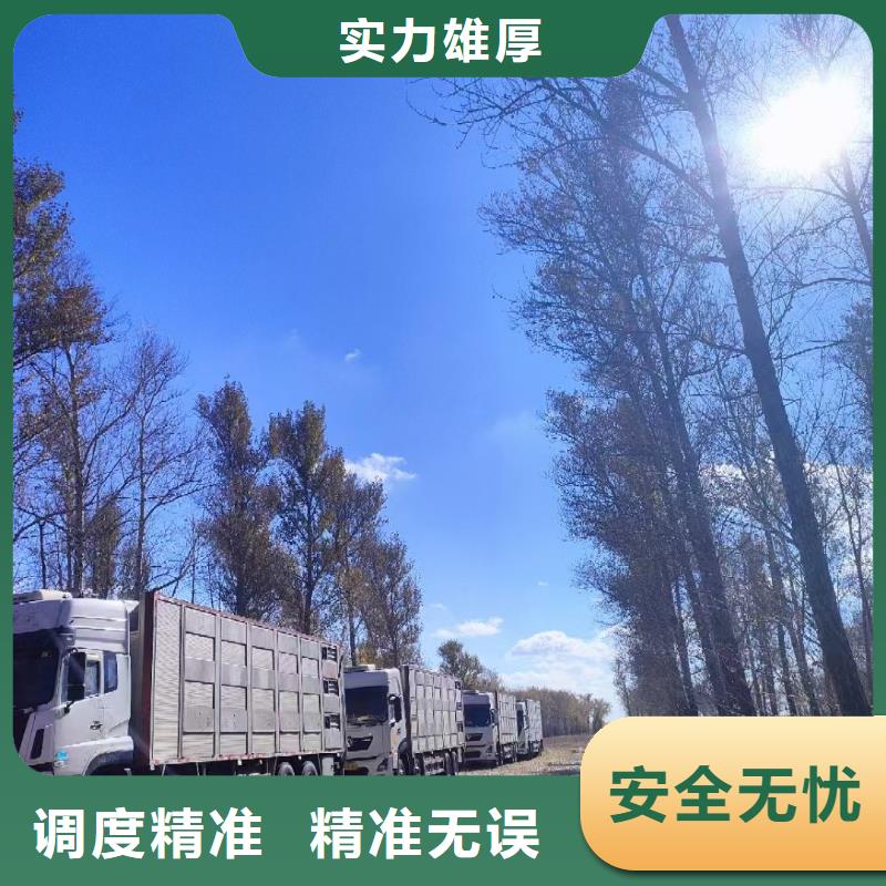 宿迁市泗洪到信阳原料运输周到细致
