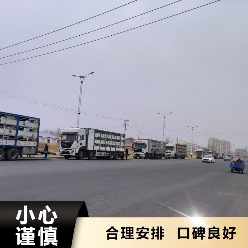 宿迁市泗洪到濮阳农牧运输天天发车