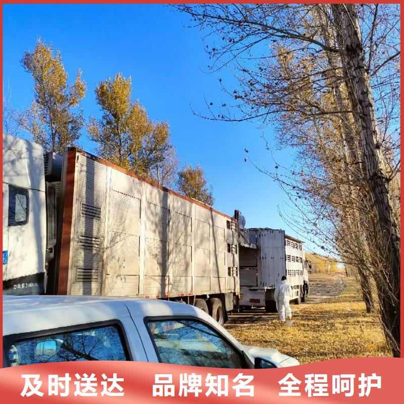 宿迁市沭阳到濮阳种猪运输无忧