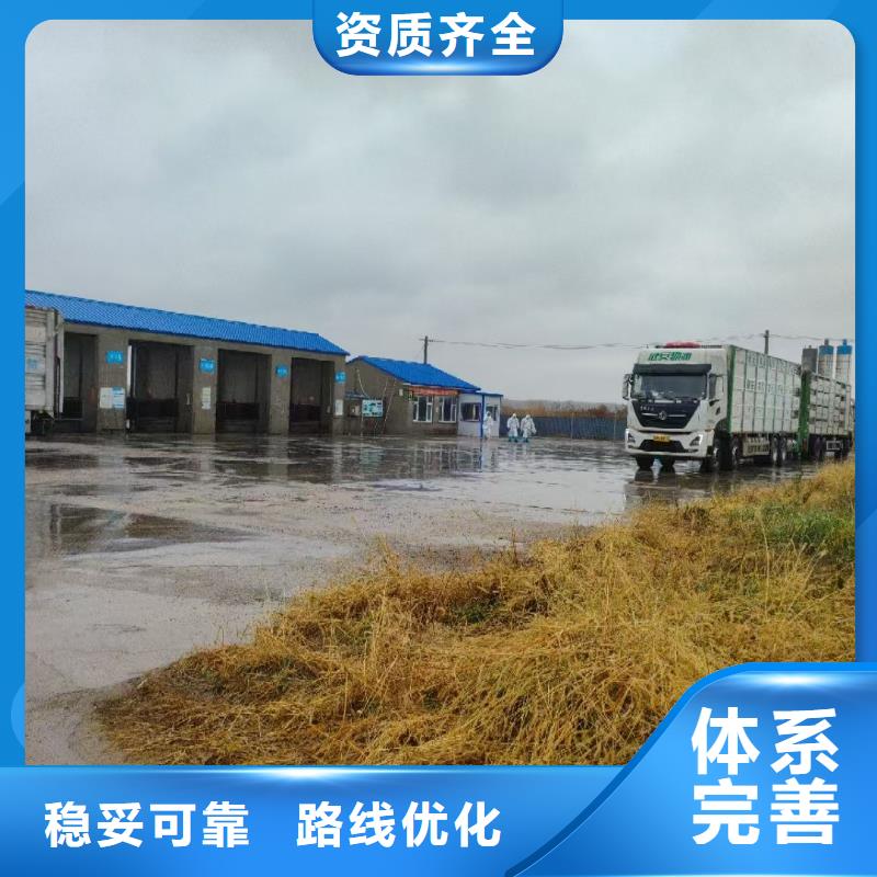 宿迁市到舟山生猪空调车运输正规物流