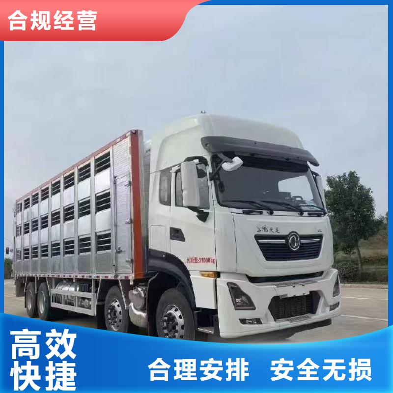 淮南到晋城活禽运输体系完善