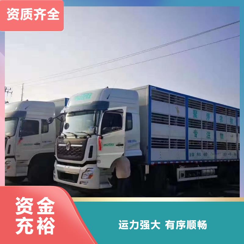 宿迁市泗阳到济宁仔猪空调车运输资质齐全