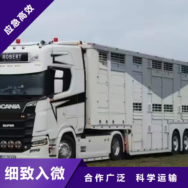 宿迁市泗阳到聊城农牧物流安静舒适
