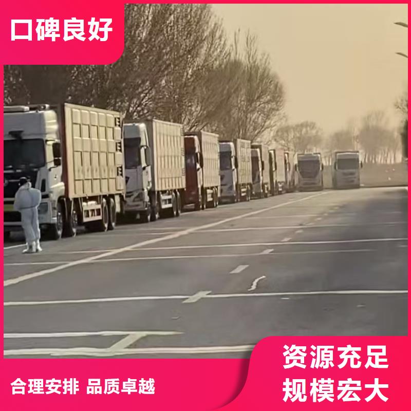 宿迁到开封高栏车肥猪运输自有运输车队
