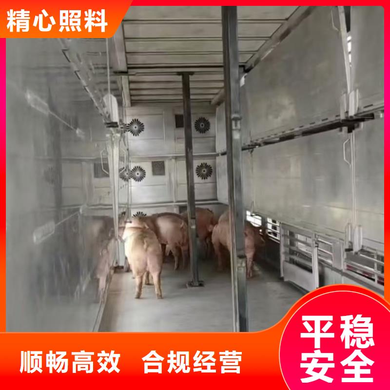 江苏到常州羊运输专用车信誉卓著