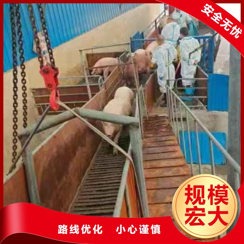 宿迁市泗洪到聊城恒温车运输及时送达