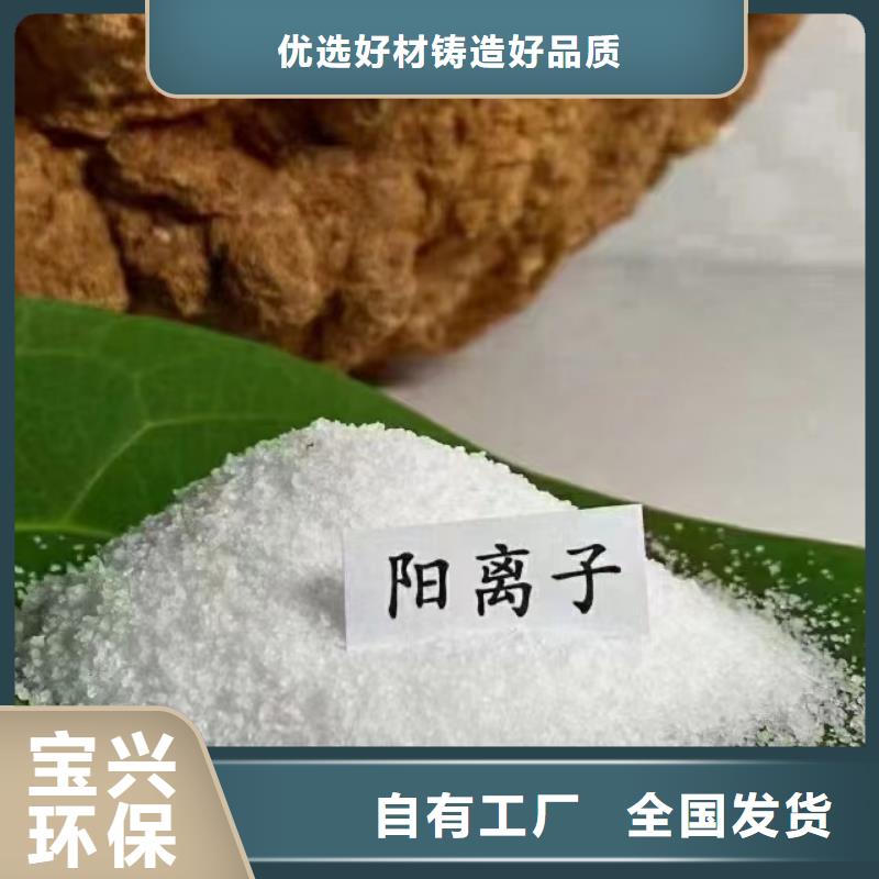PAM阳离子性能稳定供应商