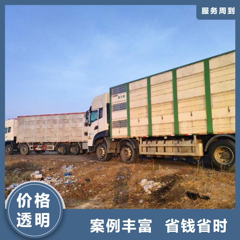 苏州到鹤壁仔猪运输-空调车口碑公司