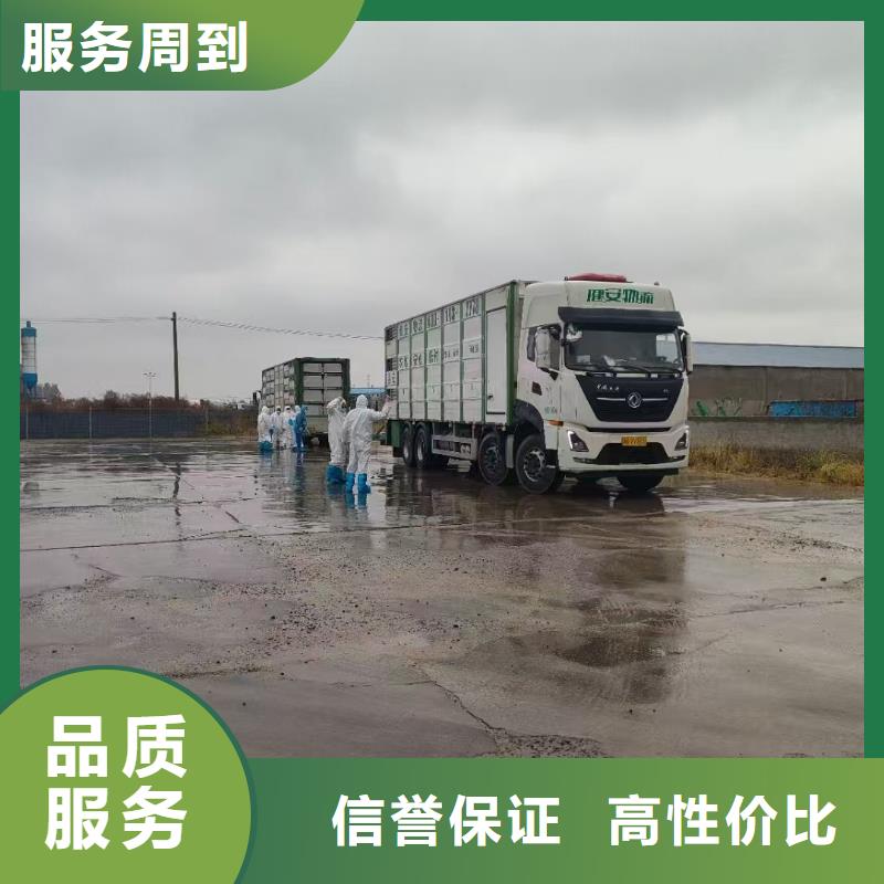 盐城到乌鲁木齐仔猪运输-空调车高性价比