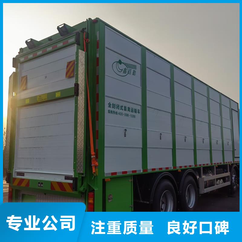 沛县到鹤壁肥猪运输恒温车口碑商家