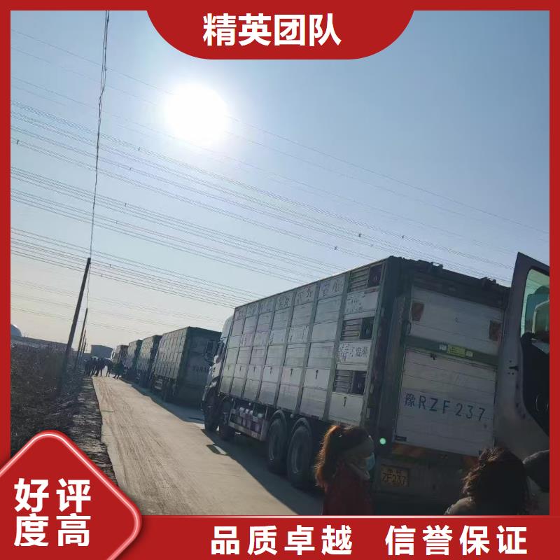 丽水至泉州牛运输专用车合理安排