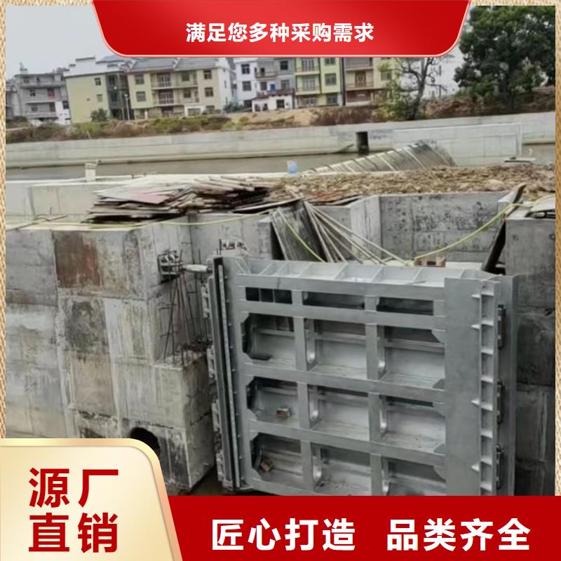 液压升降坝按需专心专注专业