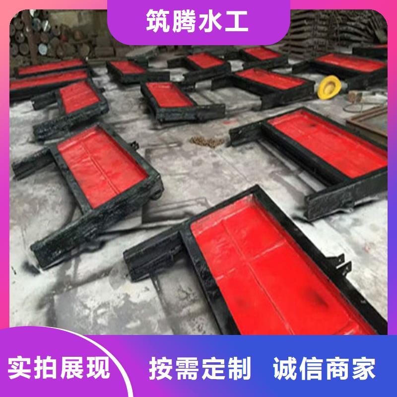 双向镶铜铸铁闸门型号齐全专业按需定制