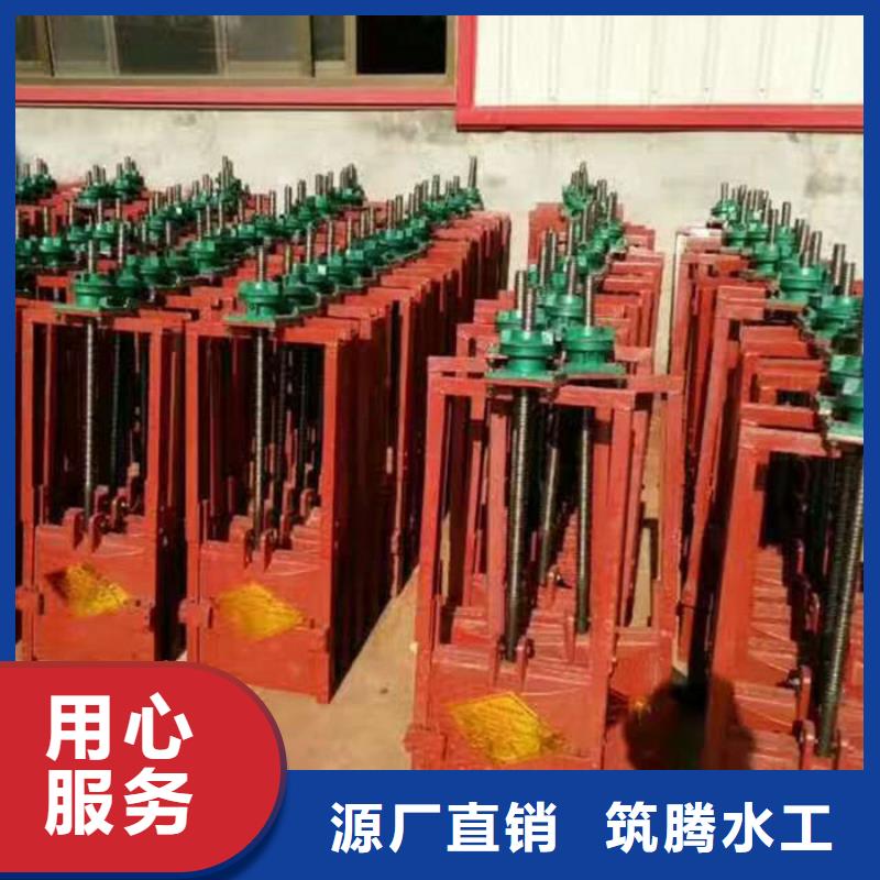 平板铸铁闸门型号齐全源厂定制