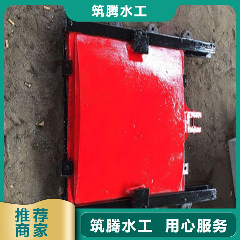 PGZ铸铁闸门型号齐全用心细节