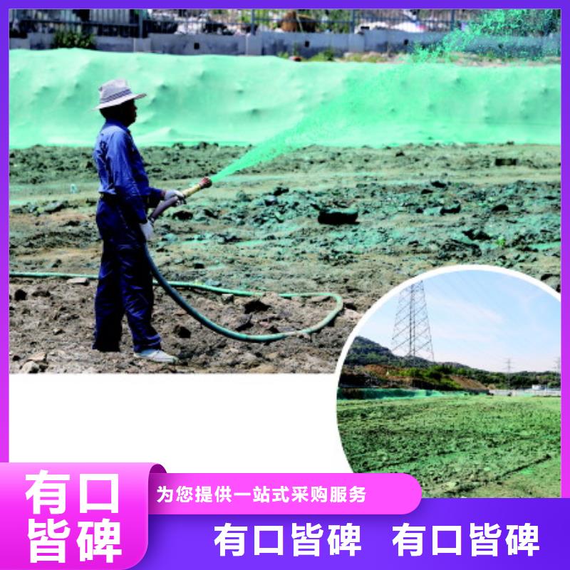 臭氧治理溶液pm10治理溶液本地生产商