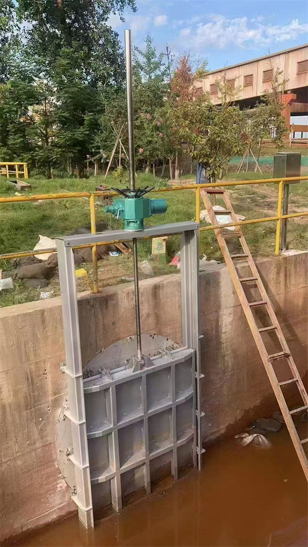 不锈钢闸门_平面钢闸门实时报价