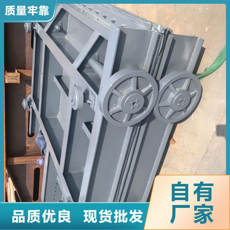钢闸门机闸一体钢闸门重信誉厂家厂家规格全