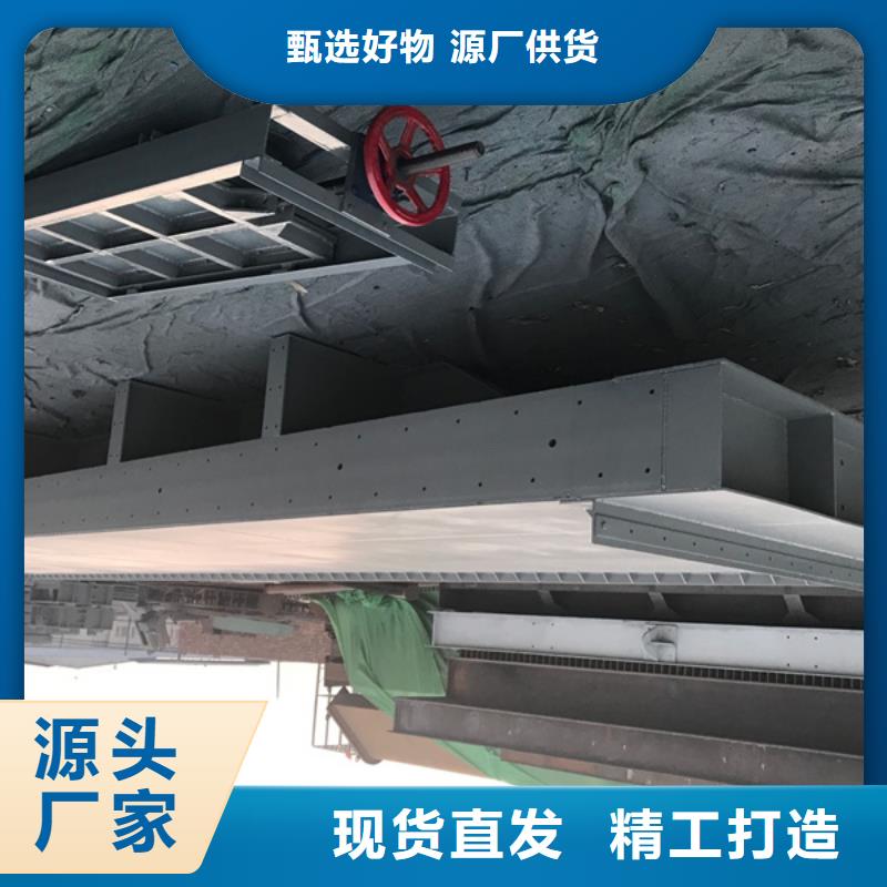 钢闸门,除污机源头厂家量大价优品质优选