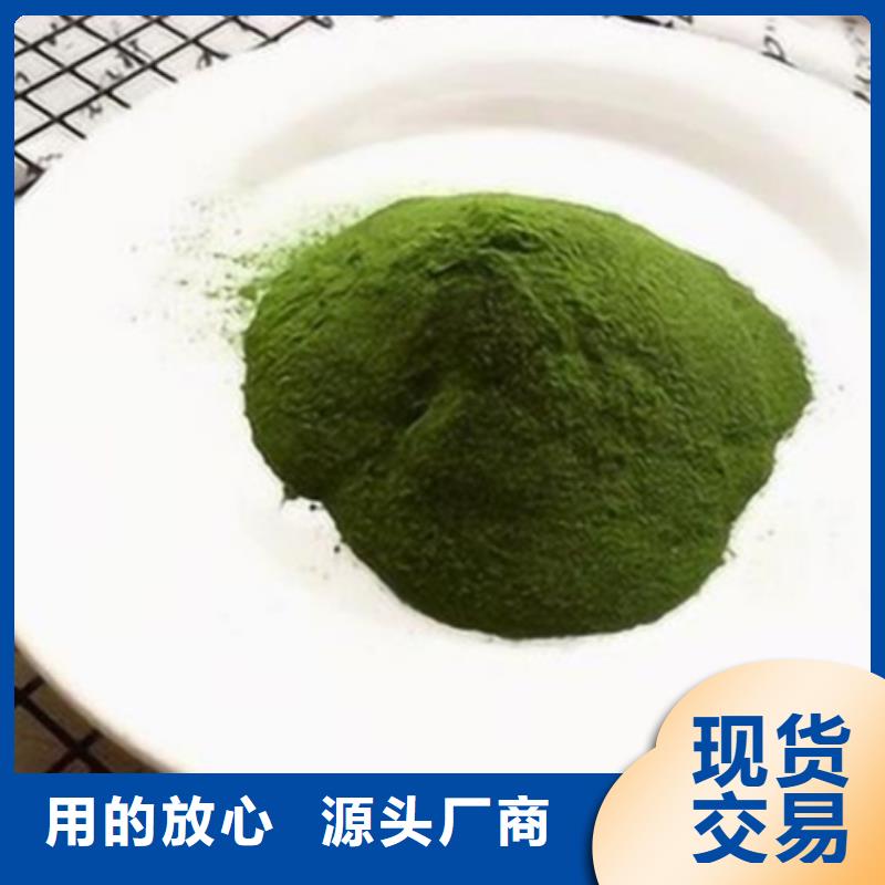 菠菜粉价格合理我们更专业