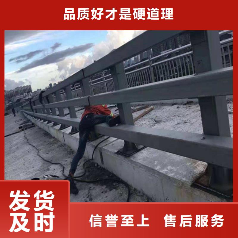 【防撞护栏市政道路防护栏货到付款】当地生产商